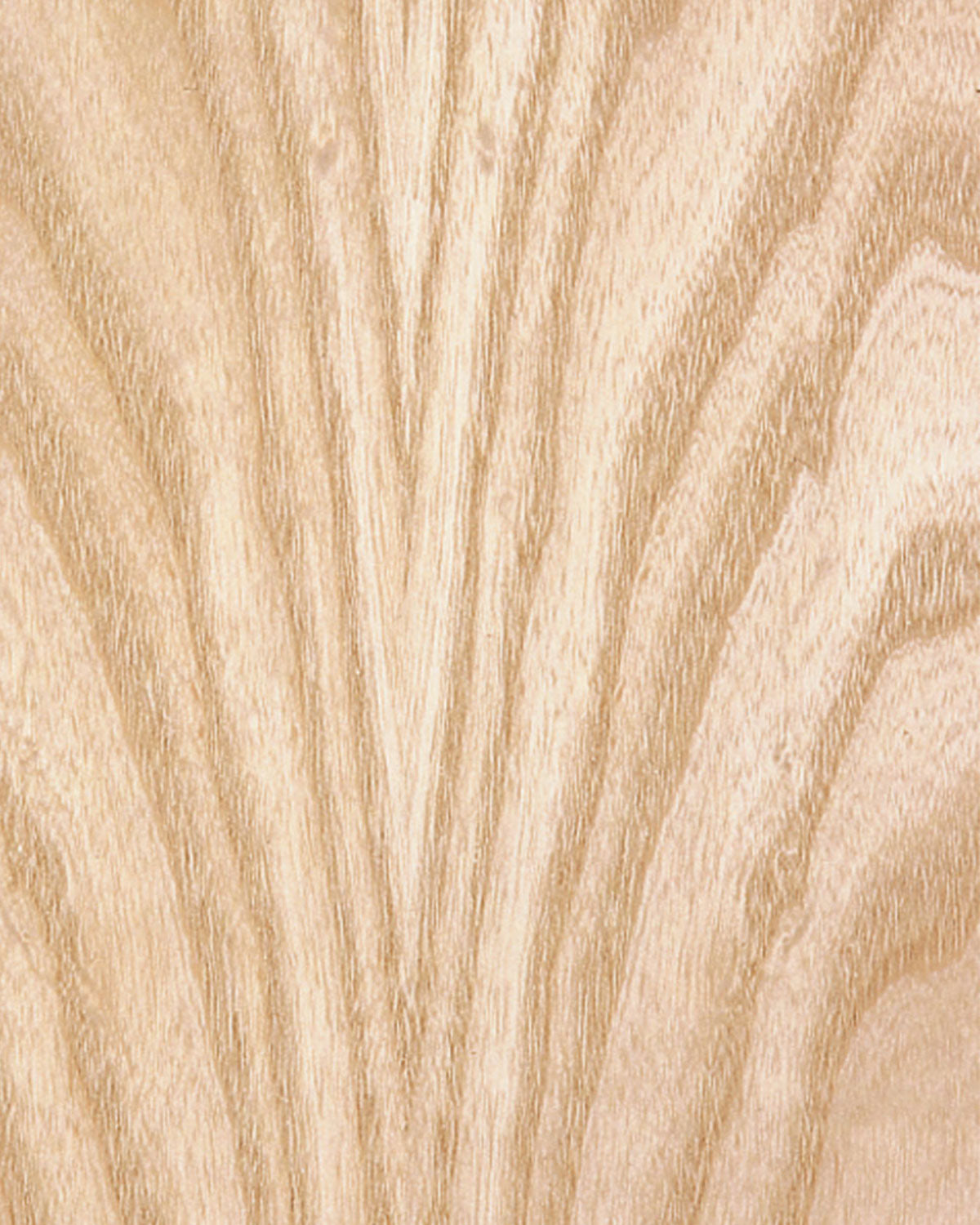 Ash, White Flat Cut π¨π¦ πΊπΈ