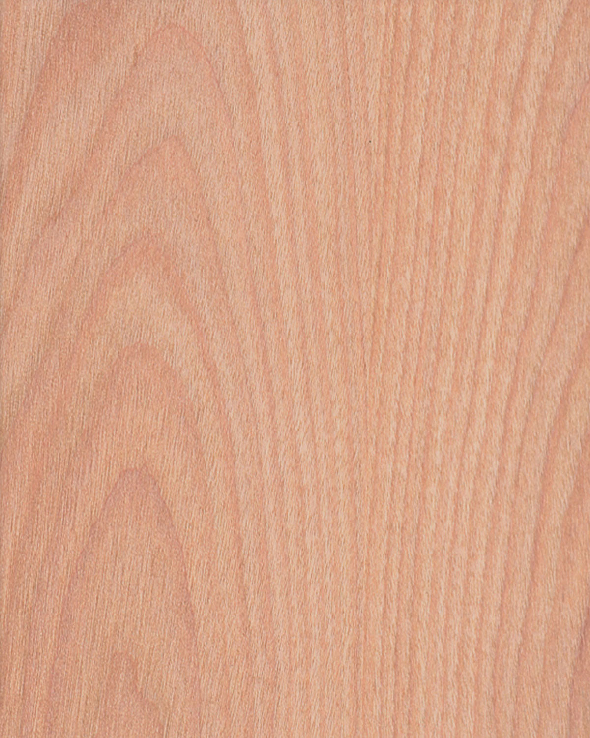 Birch, Red Flat Cut π¨π¦ πΊπΈ