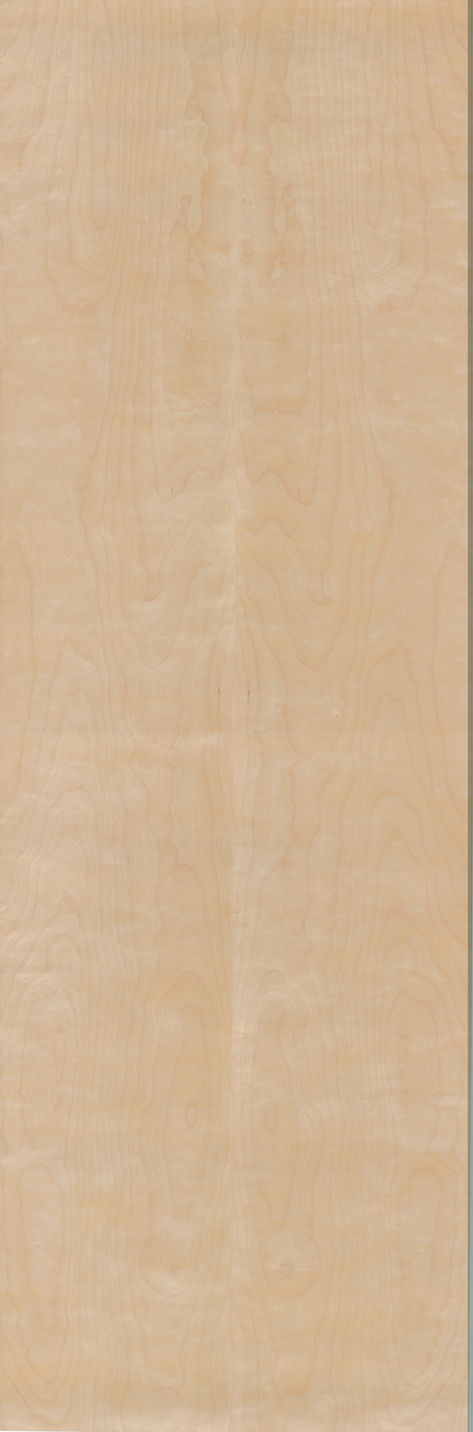 Birch, White Rotary Cut π¨π¦ πΊπΈ