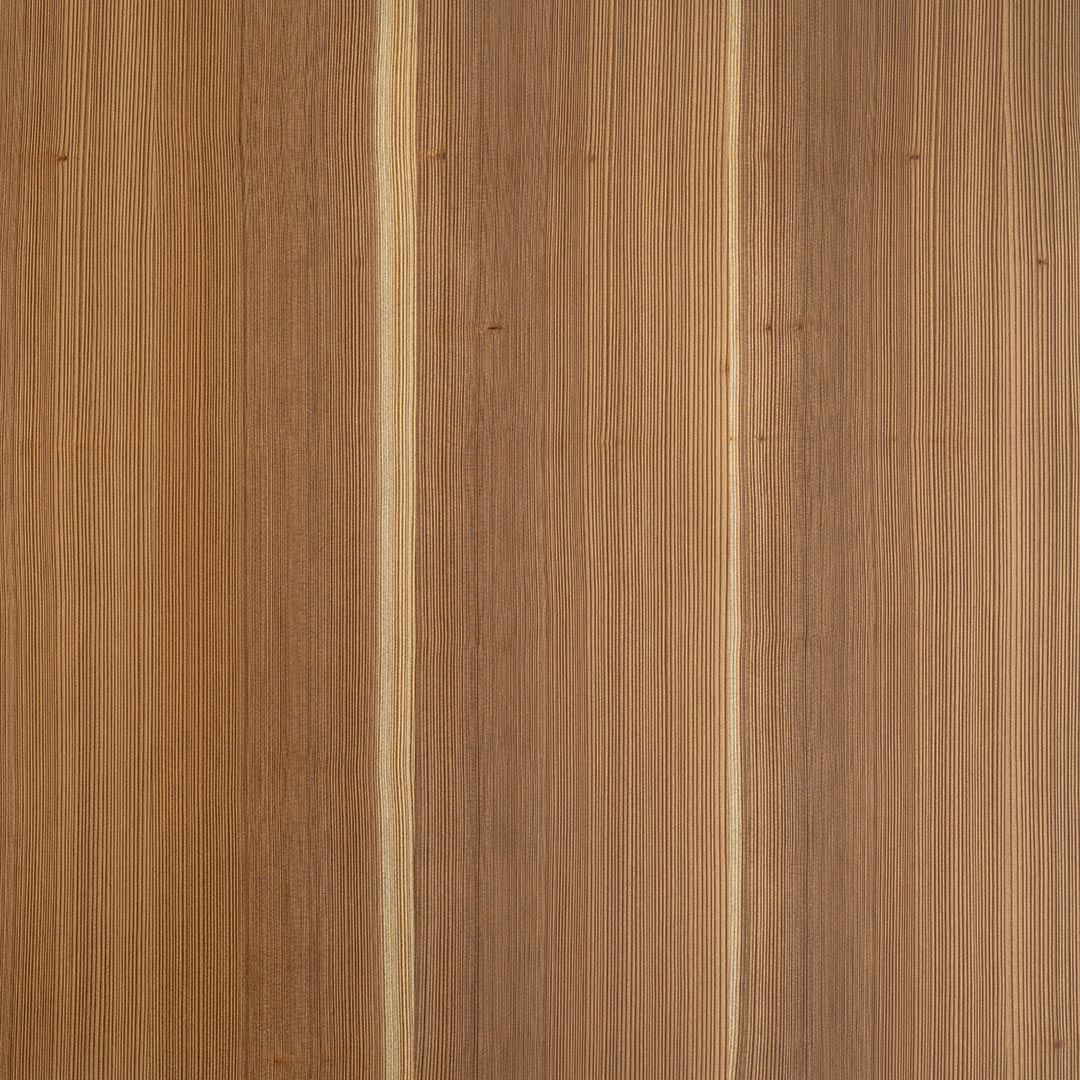 Cedar, Charred QC W-Sap π¨π¦ πΊπΈ