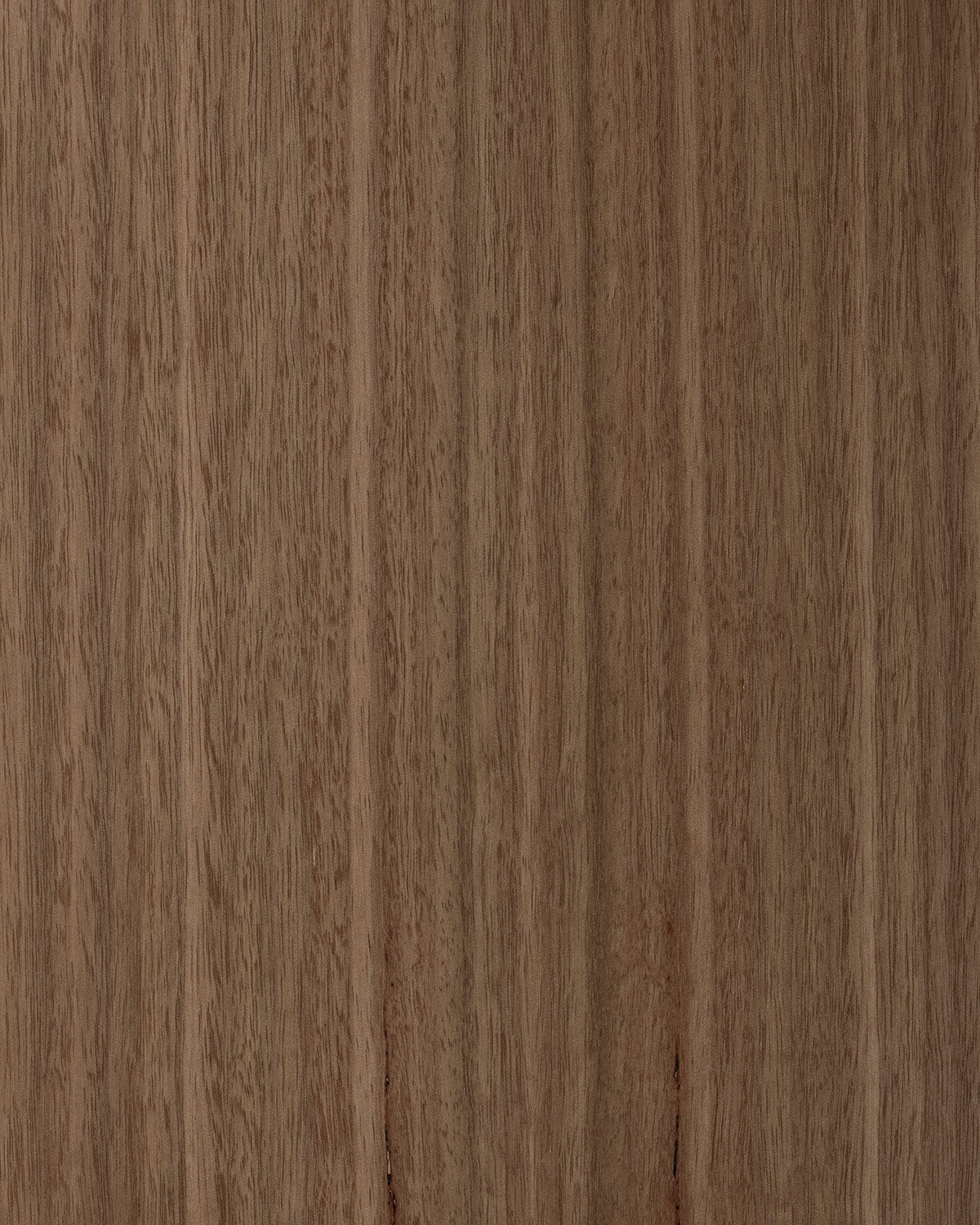Eucalyptus, Plain Quarter Cut π¨π¦ πΊπΈ