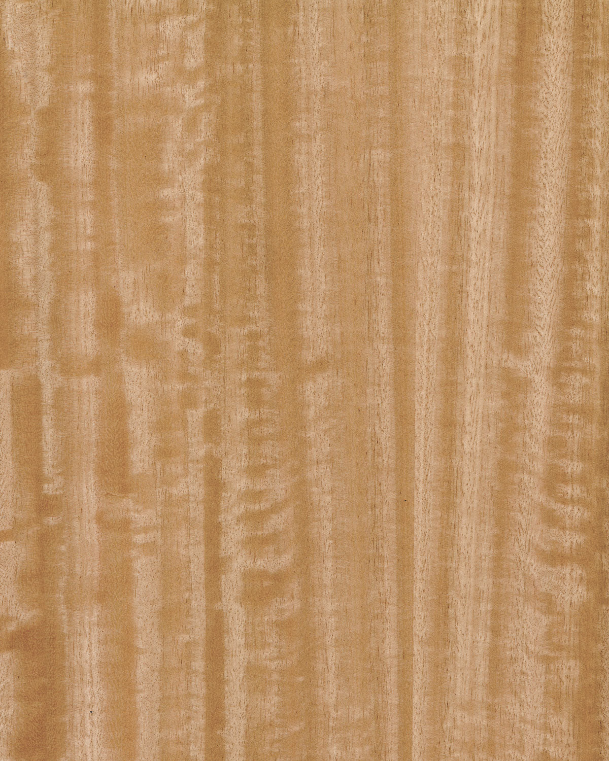 Eucalyptus, Figured Quarter Cut π¨π¦ πΊπΈ