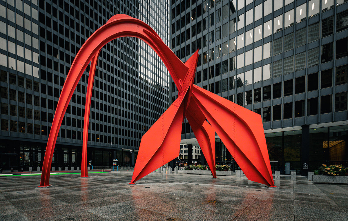 Flamingo π¨π¦ πΊπΈ