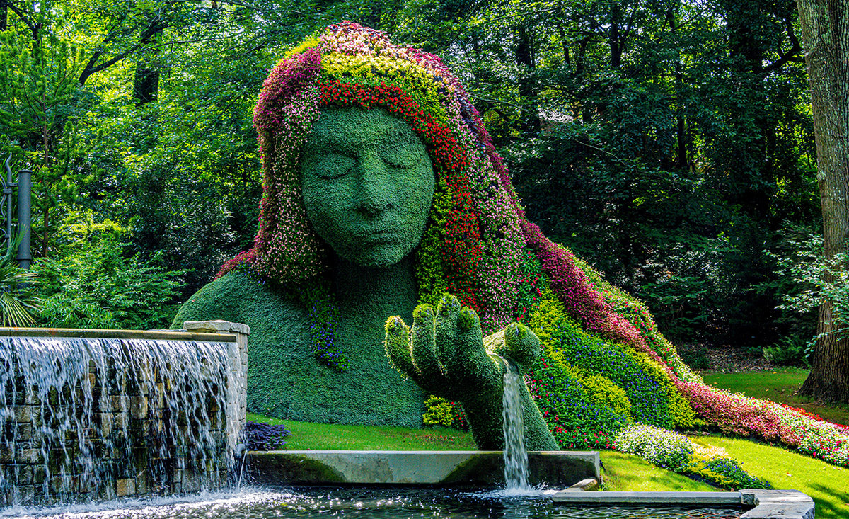 Flower Girl π¨π¦ πΊπΈ