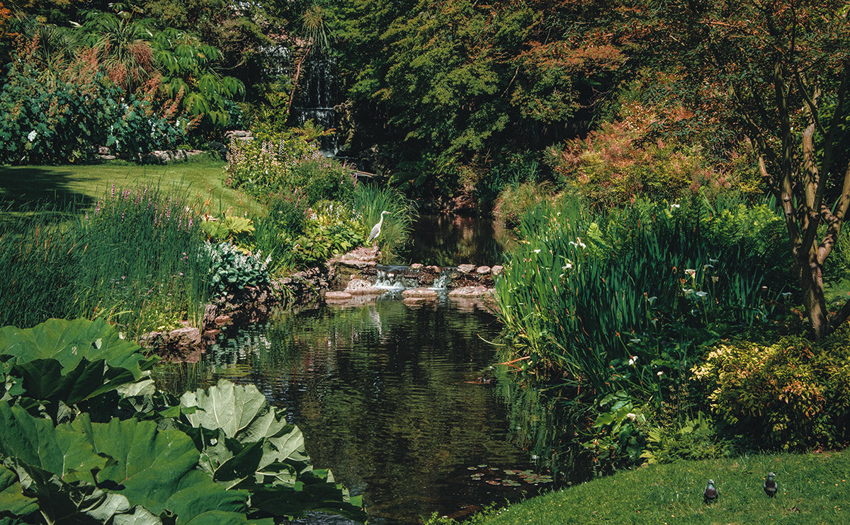 Garden Pond π¨π¦ πΊπΈ