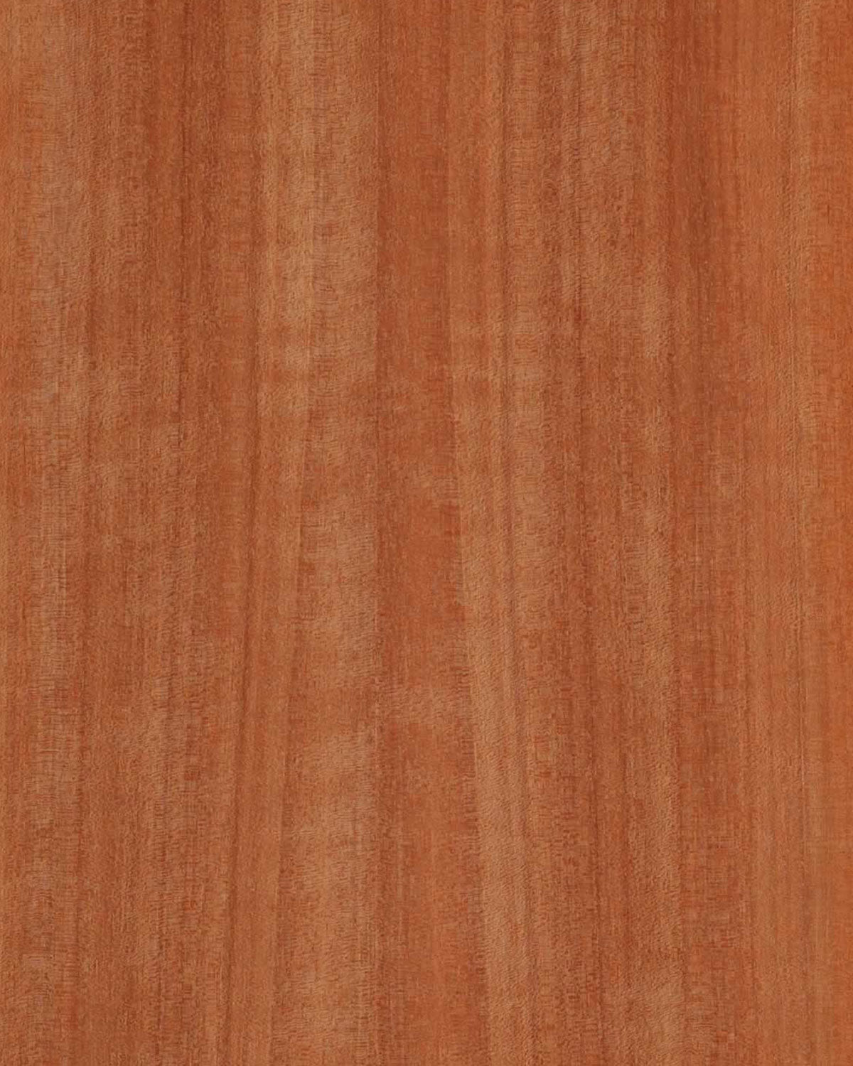 Makore, Figured Quarter Cut π¨π¦ πΊπΈ