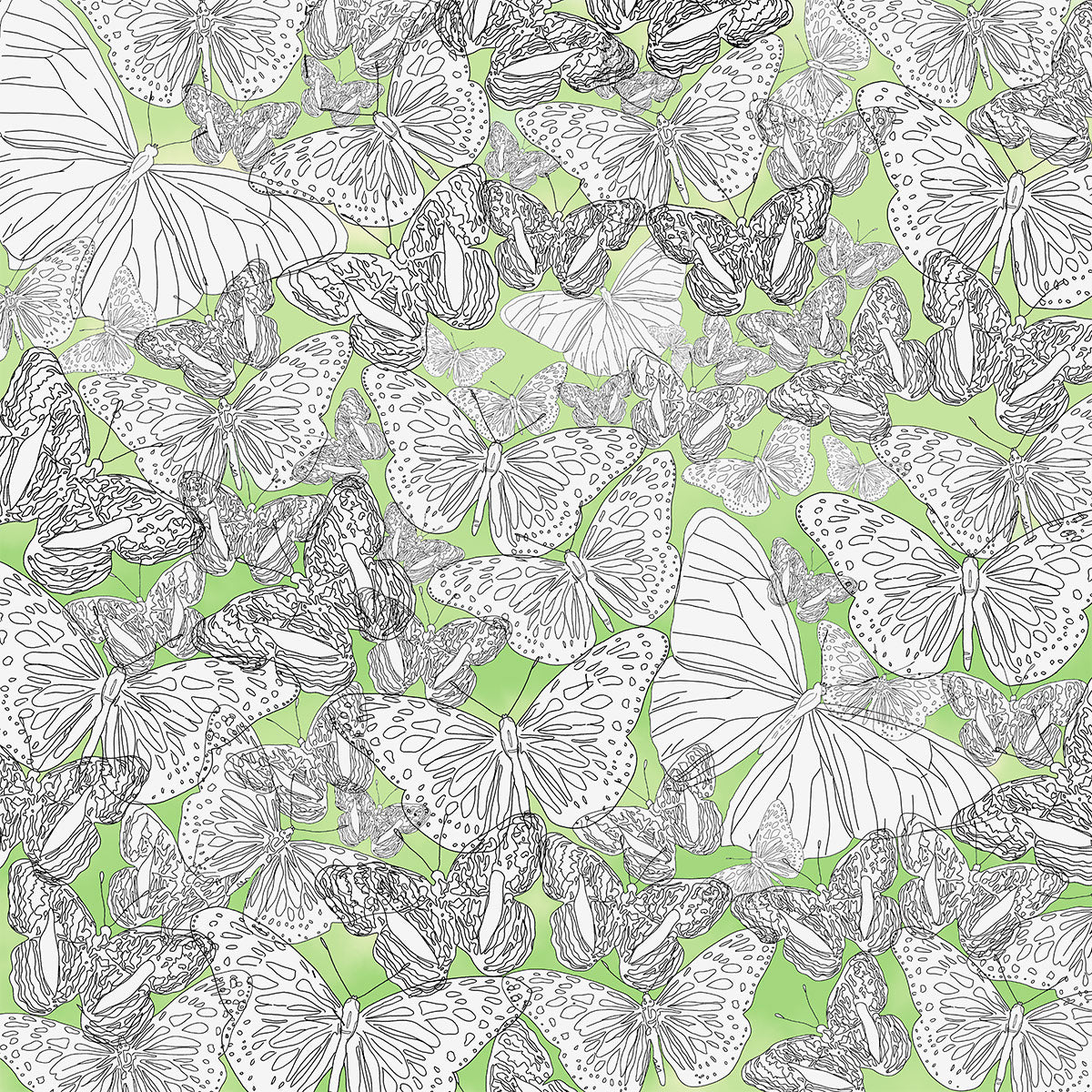 Kaleidoscope π¨π¦ πΊπΈ