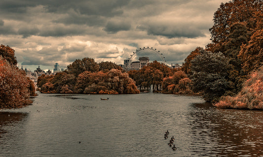 St. James Park π¨π¦ πΊπΈ