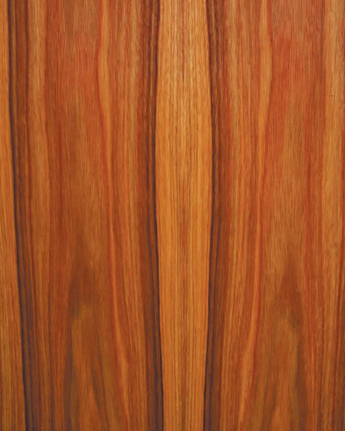 Paduak, Brazilian Flat Cut π¨π¦ πΊπΈ