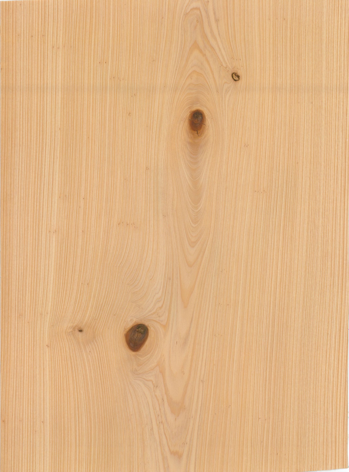 Pine, Knotty Flat Cut π¨π¦ πΊπΈ