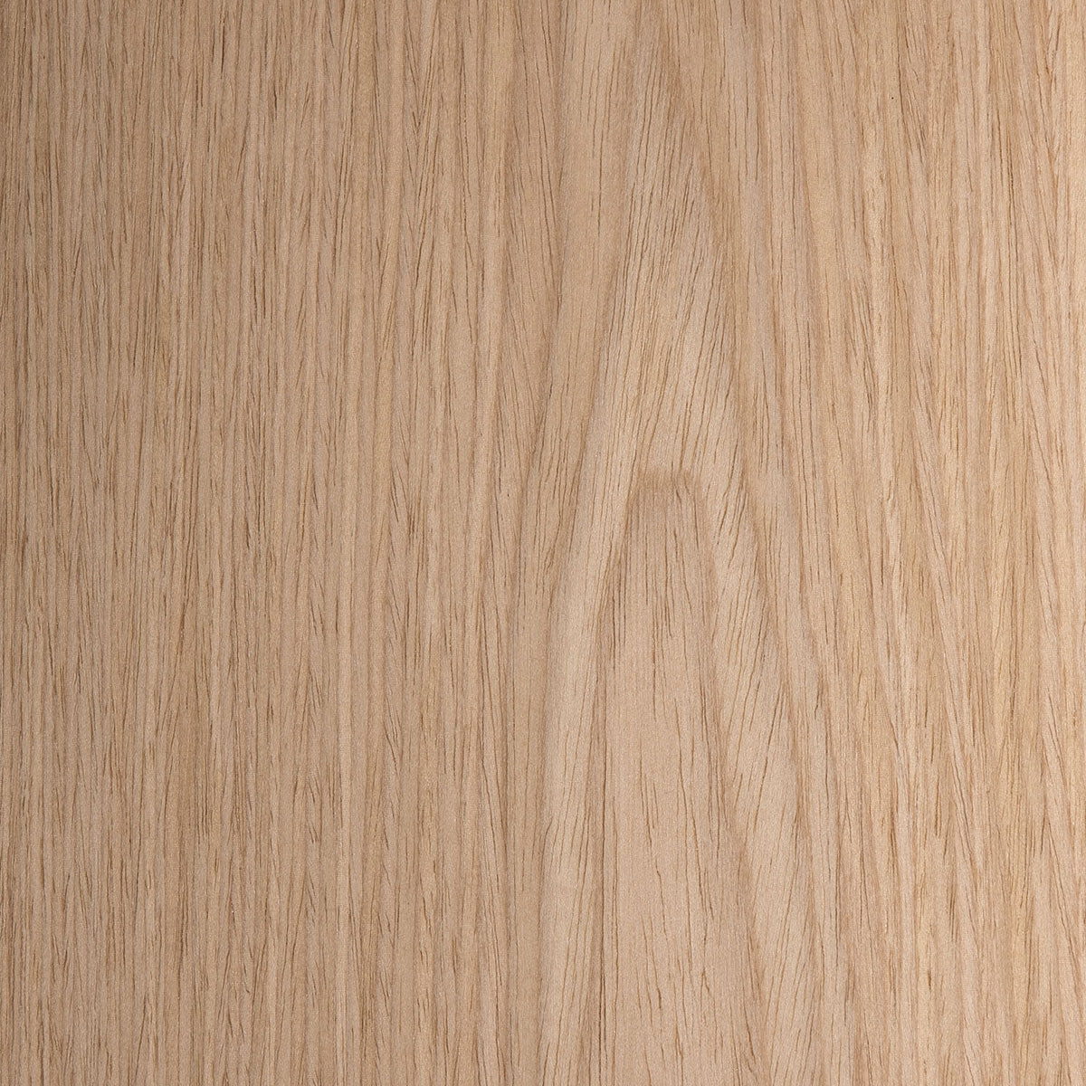 Recon Ash Flat Cut #142001 π¨π¦ πΊπΈ