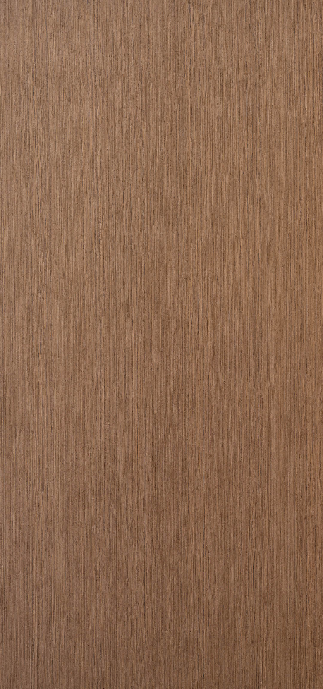 Recon Spicewood Quarter Cut π¨π¦ πΊπΈ