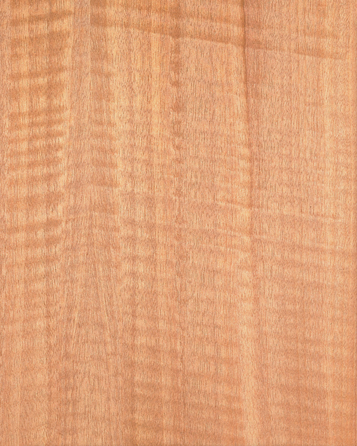 Anigre Figured Realtec Quarter Cut π¨π¦ πΊπΈ