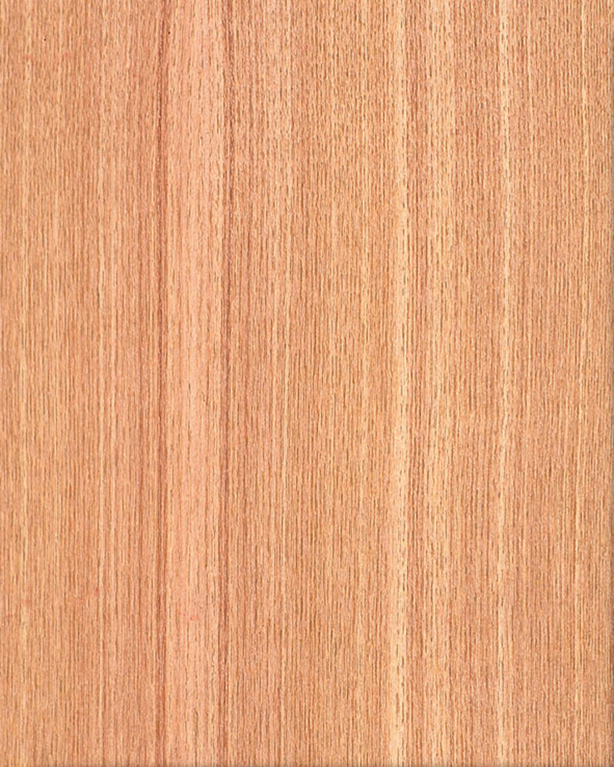 Ash, Japanese Quarter Cut π¨π¦ πΊπΈ