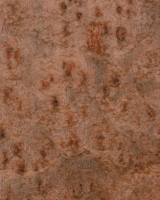 Camphorwood Burl π¨π¦ πΊπΈ