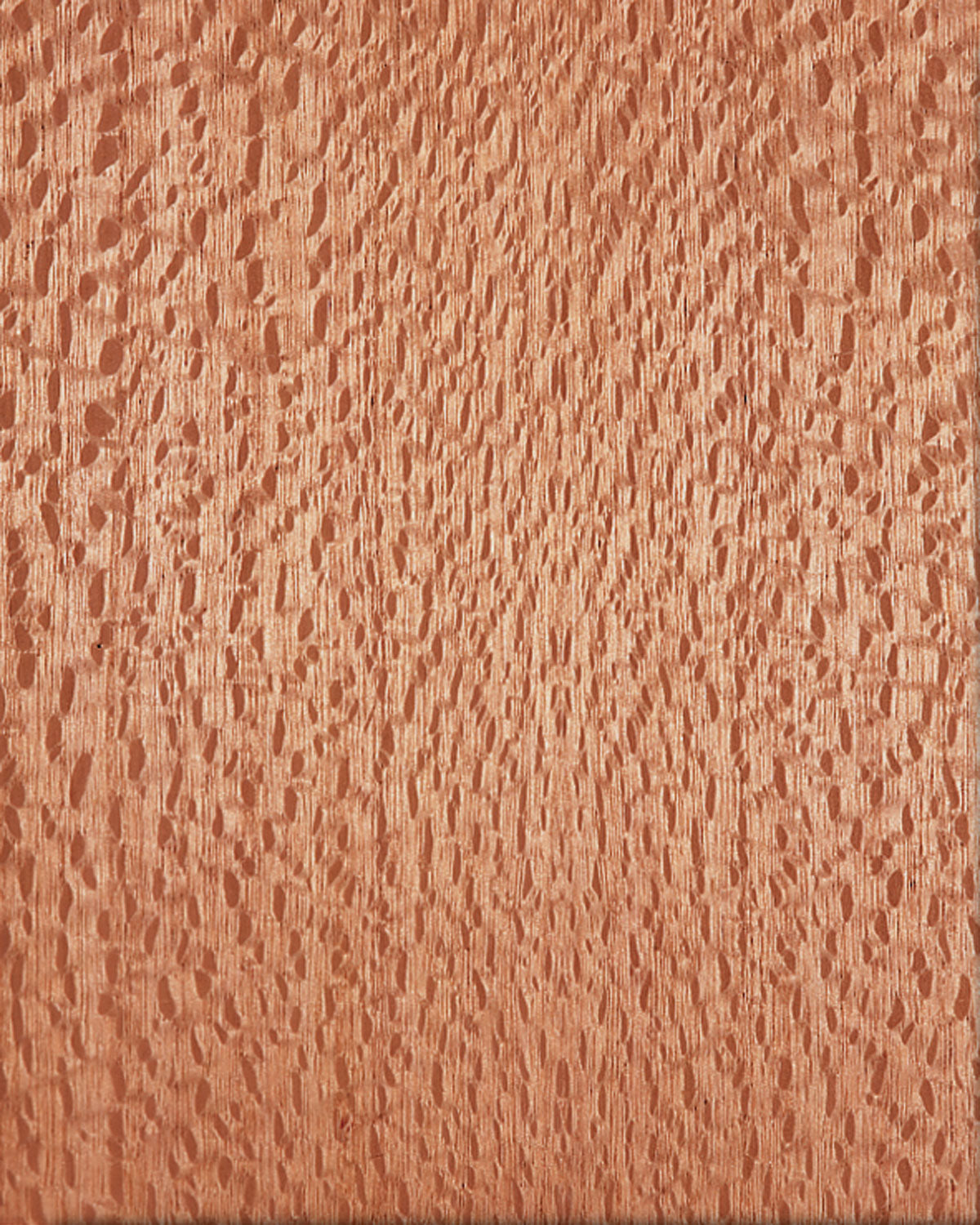 Lacewood Quarter Cut π¨π¦ πΊπΈ