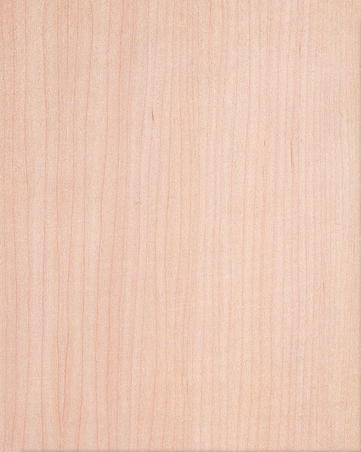 Maple, White Quarter Cut π¨π¦ πΊπΈ