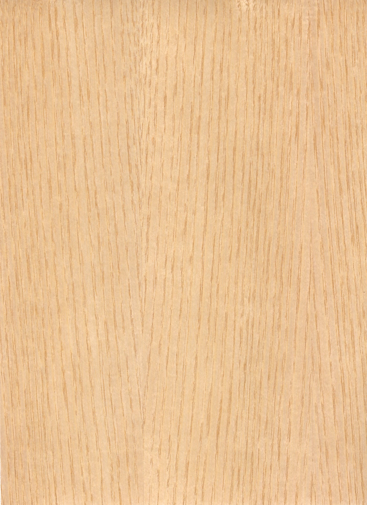 Recon White Ash QC Real Wood Veneer π¨π¦ πΊπΈ