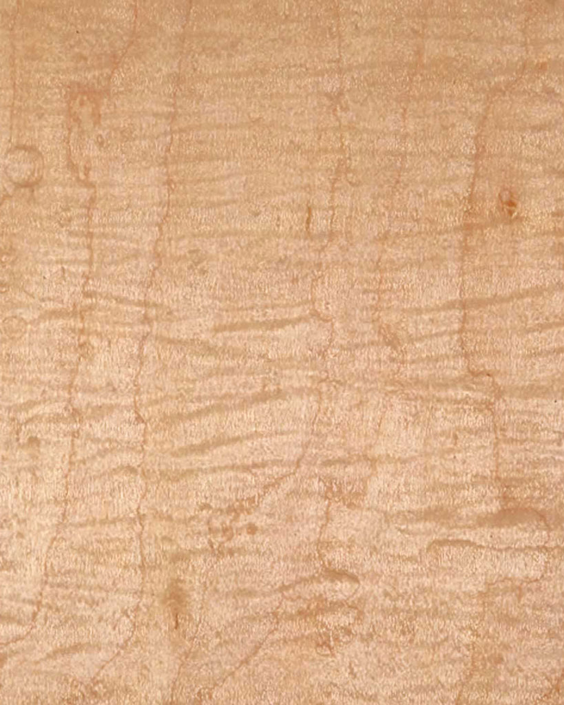 Maple, White Curly Rotary Cut 🇨🇦 🇺🇸