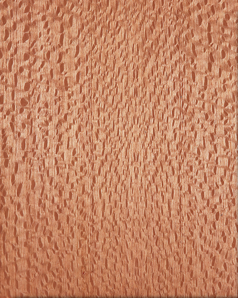 Lacewood Quarter Cut 🇨🇦 🇺🇸