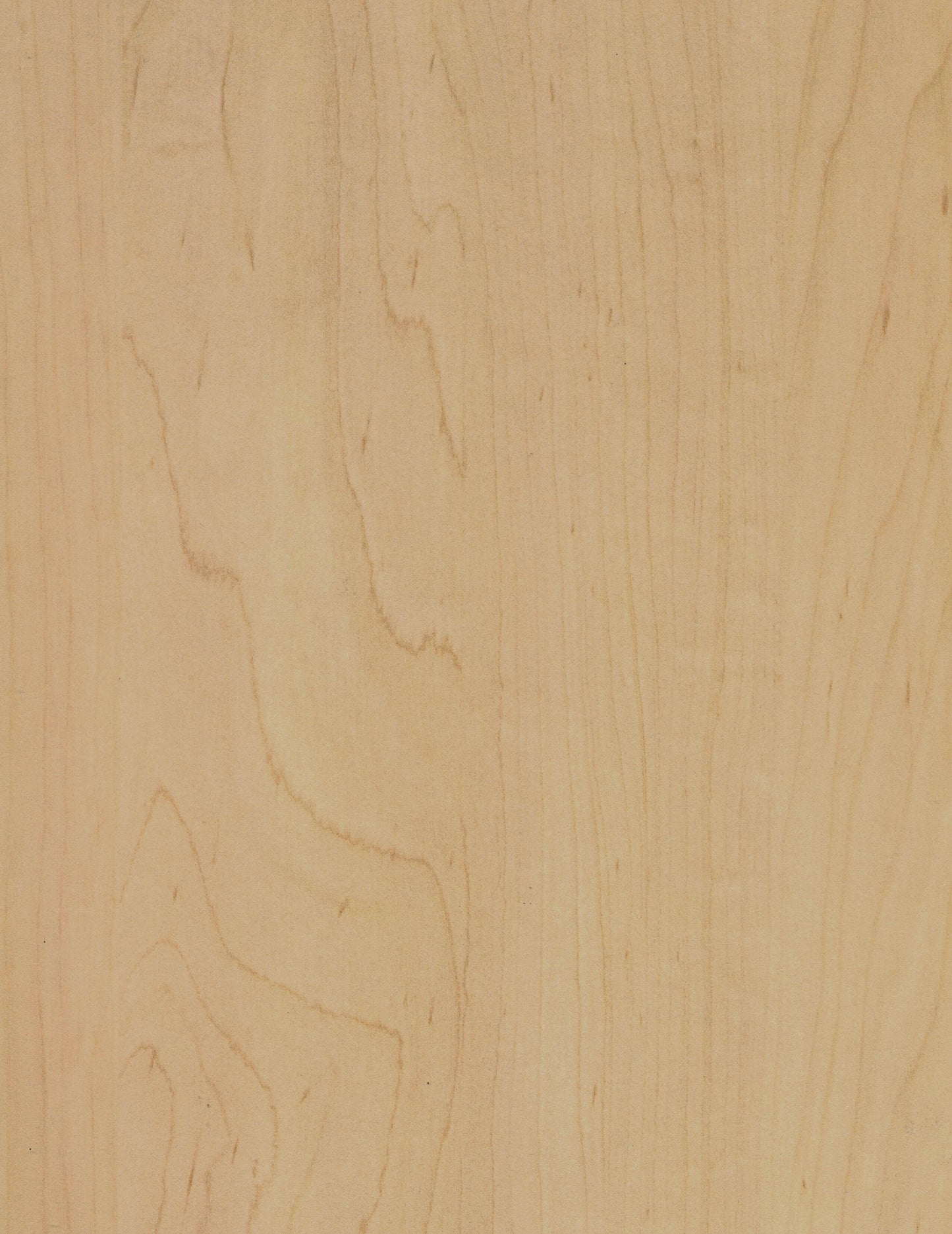 Curly Maple High Pressure Laminate (HPL) 🇨🇦 🇺🇸