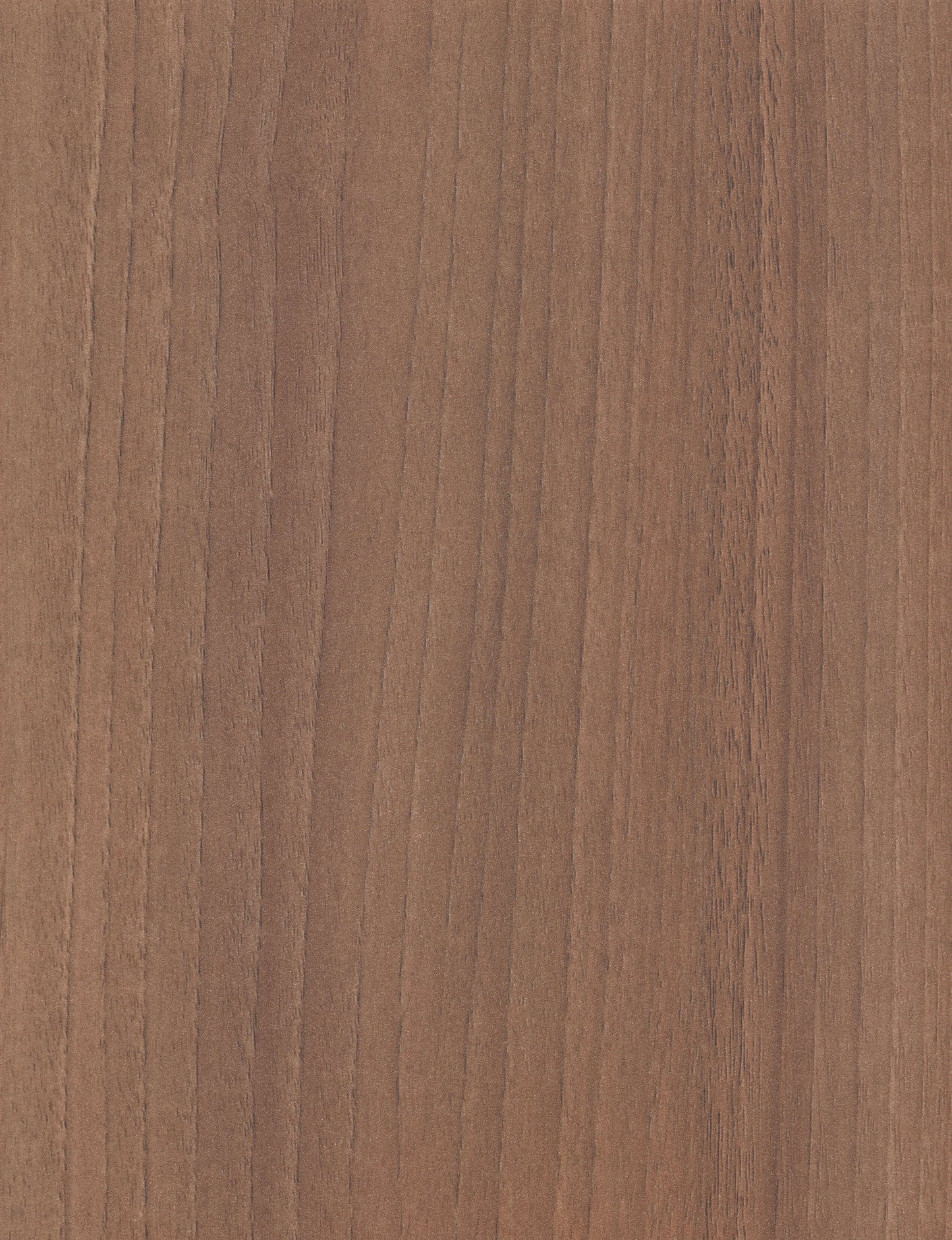 Northern Elm High Pressure Laminate (HPL) 🇨🇦 🇺🇸