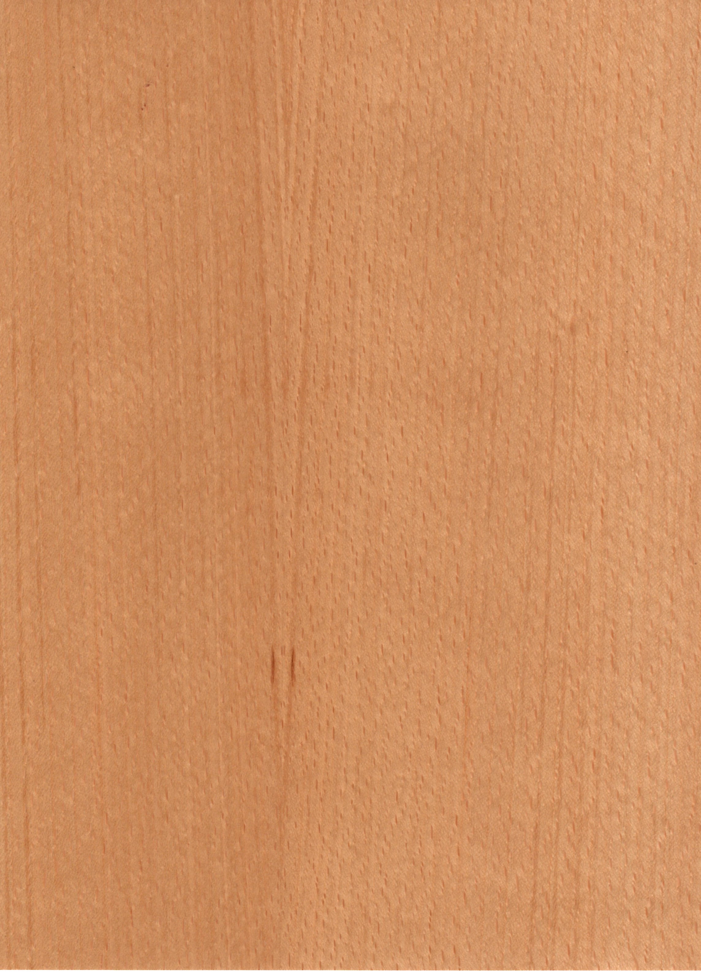 Real Wood Veneer Beech QC Real Wood Veneer | Dundas Matheson