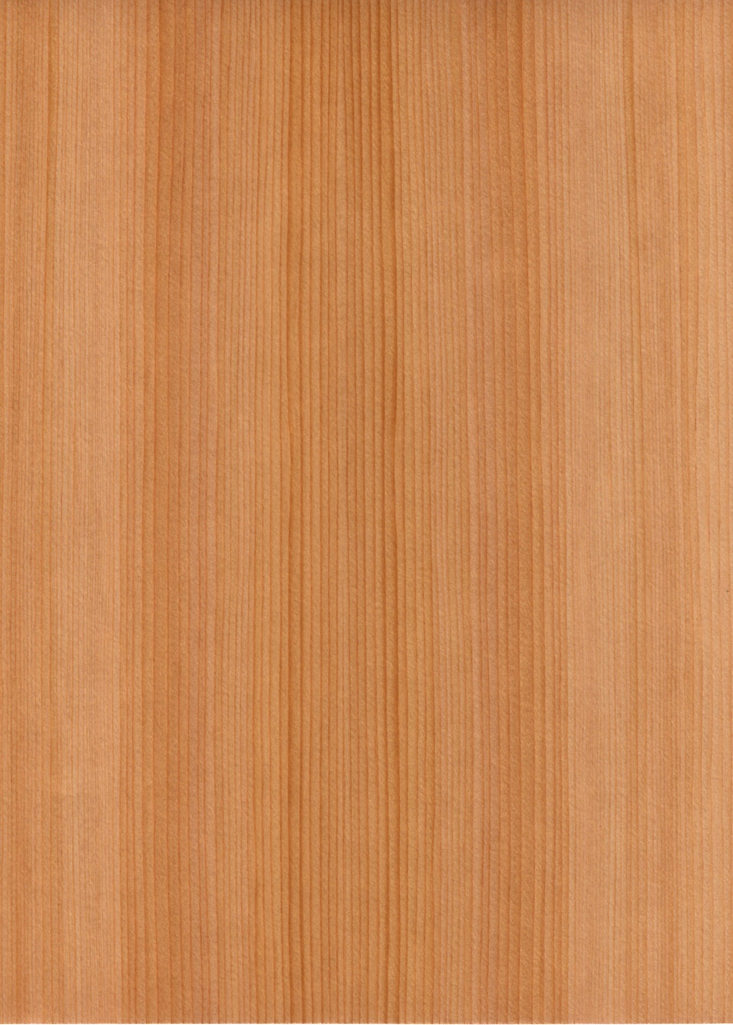 Cedar QC Real Wood Veneer 🇨🇦 🇺🇸