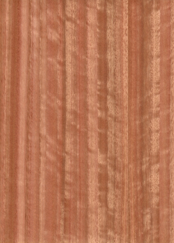 Eucalyptus QC Real Wood Veneer 🇨🇦 🇺🇸