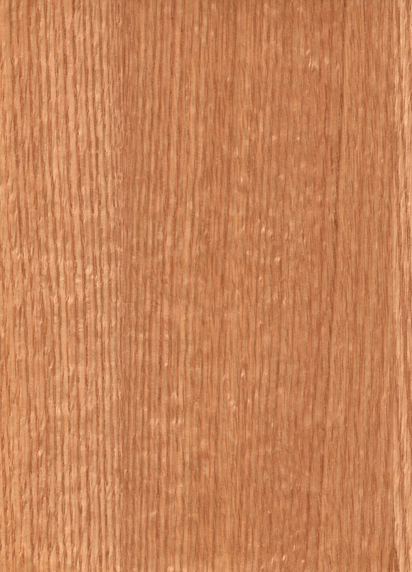 Red Oak Rift Real Wood Veneer 🇨🇦 🇺🇸