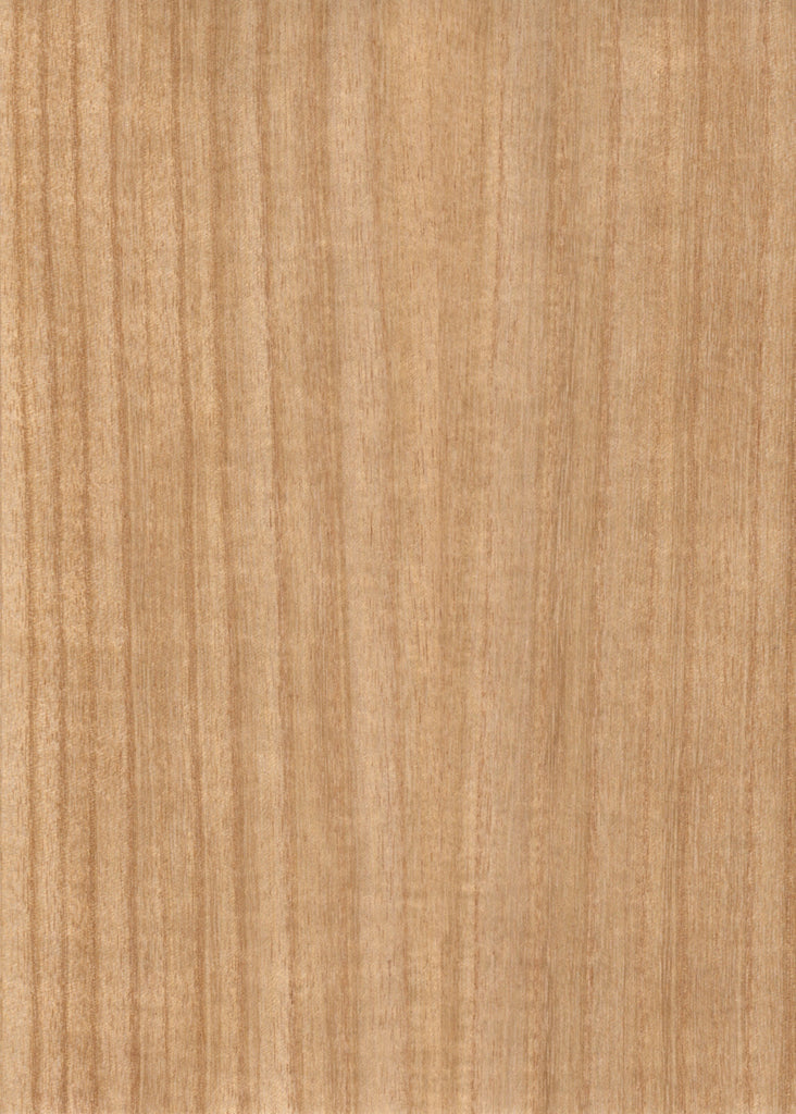 Paulownia QC Real Wood Veneer 🇨🇦 🇺🇸