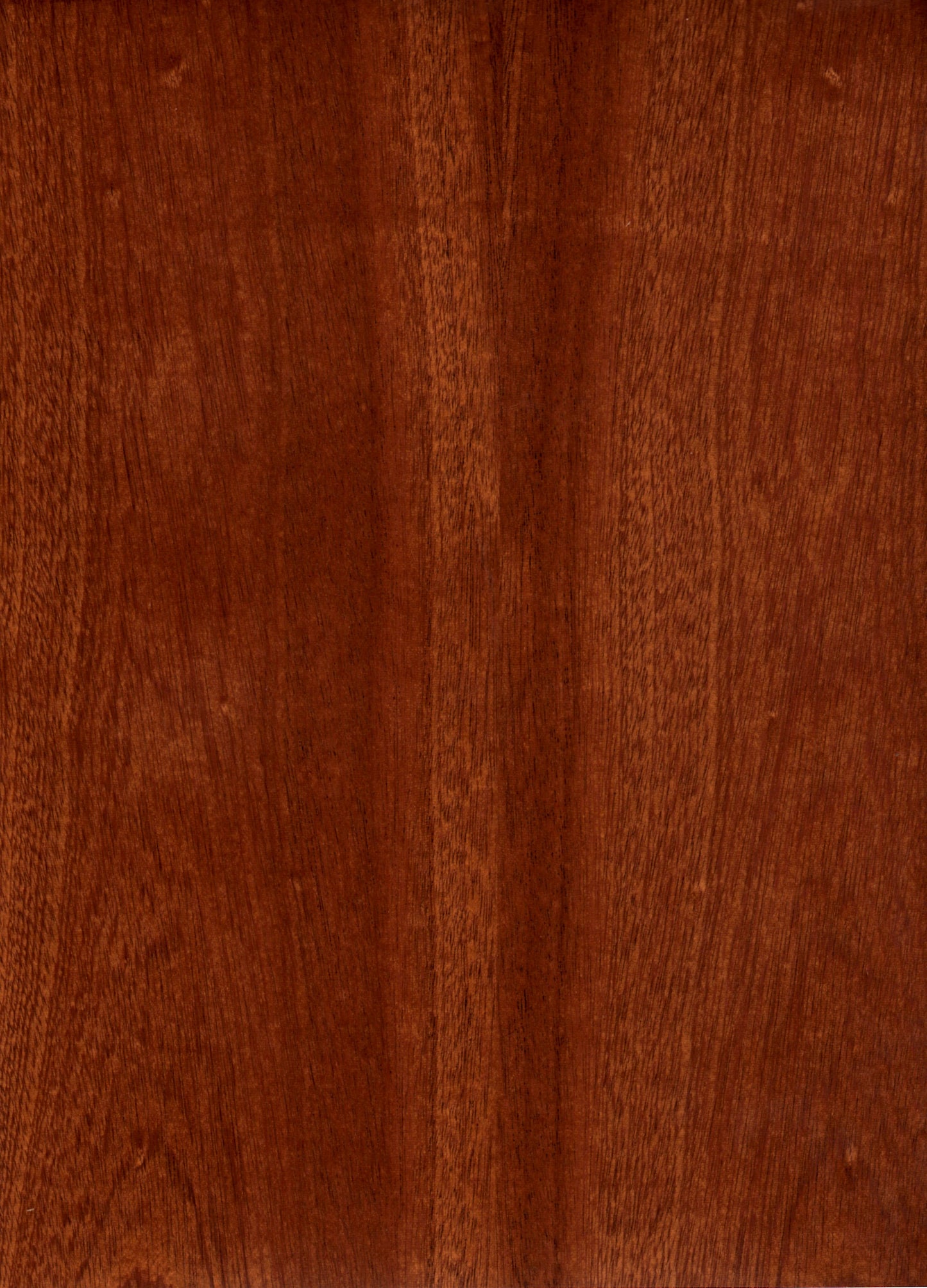 Sapele FC Real Wood Veneer 🇨🇦 🇺🇸